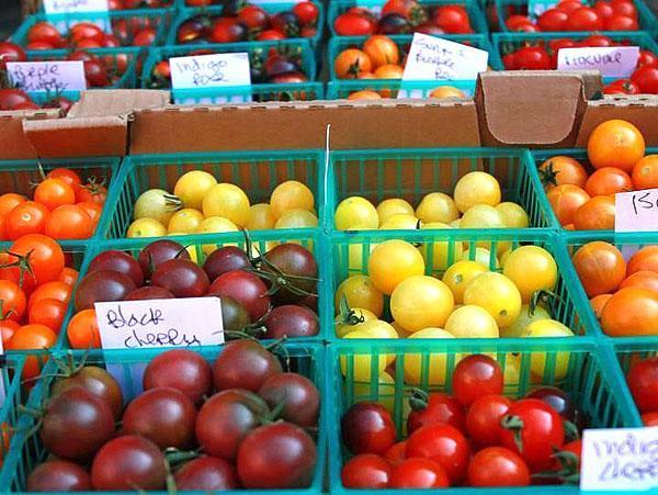 cereza de diferentes colores