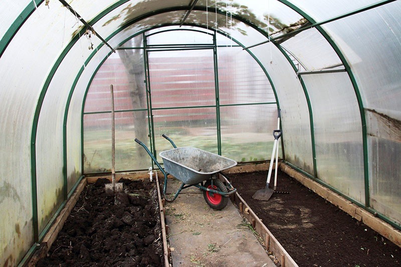 preparando el invernadero para plantar pimiento