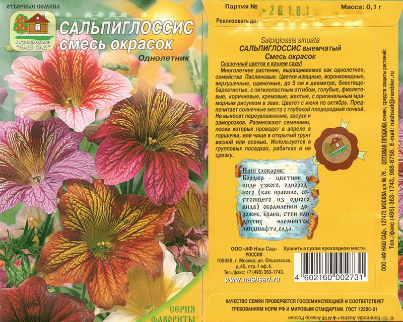 semillas de salpiglossis