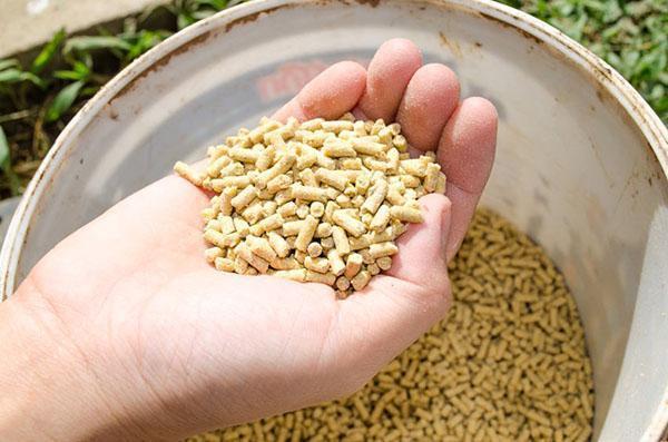 Aliments granulés pour poulets de chair