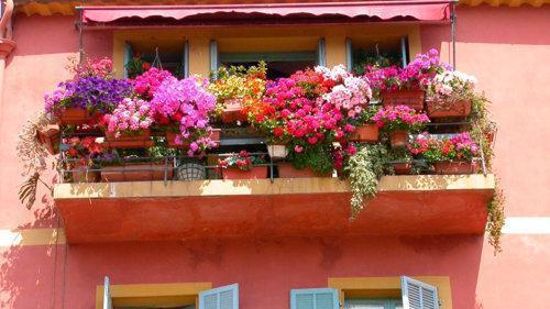 Balcon luxueux avec pétunias