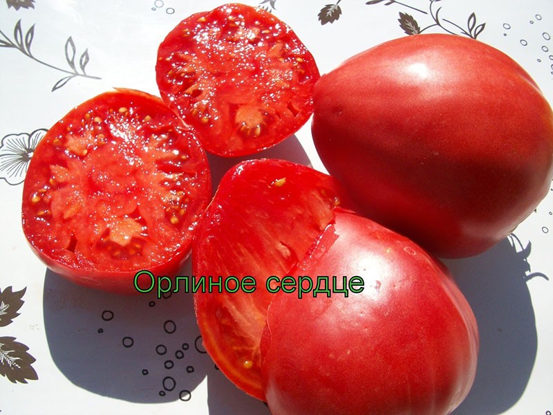fruta de tomate dulce carnoso