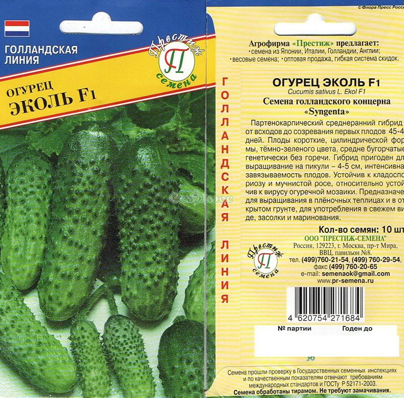 semillas de pepino