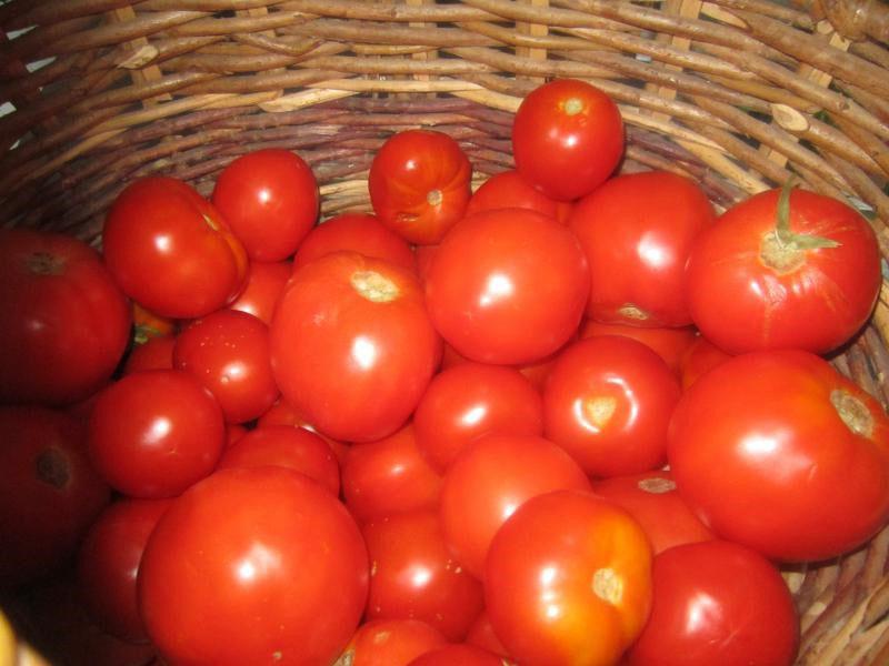 trier les tomates