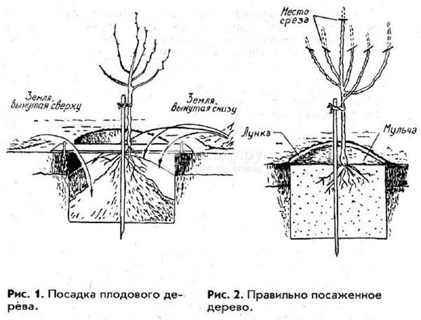 règles d'atterrissage