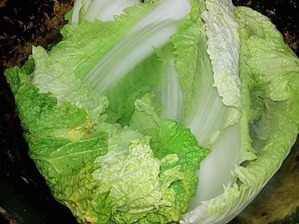 préparer des feuilles de chou chinois