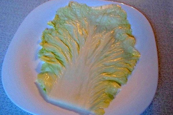 feuille de chou pour chou farci