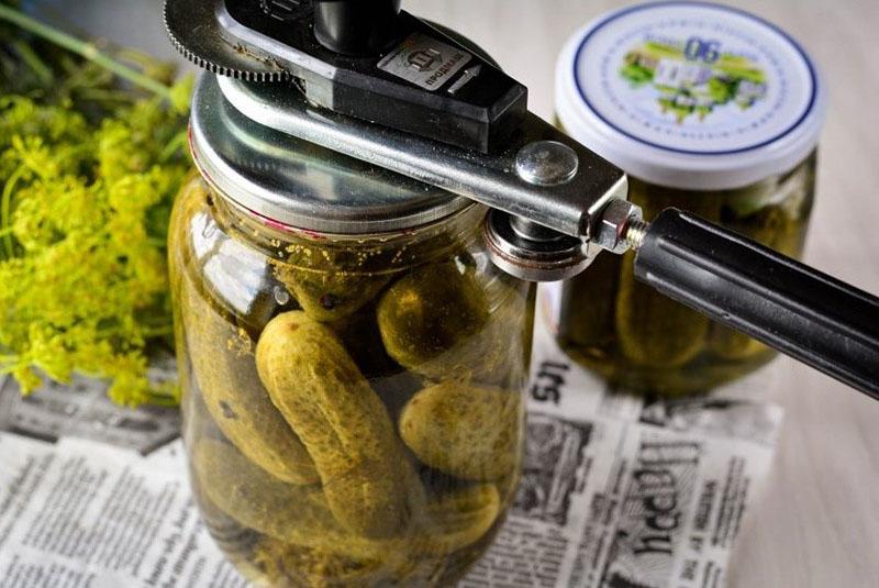 deliciosos pepinos en escabeche