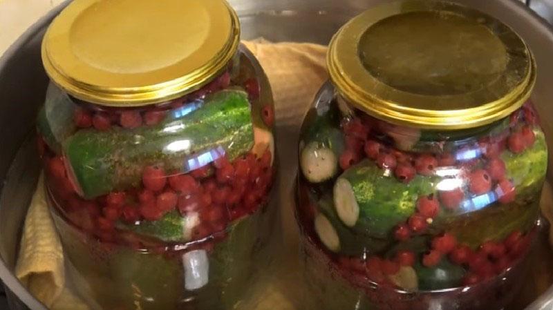 esterilizar pepinos encurtidos