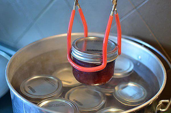 pasteurizar gelatina