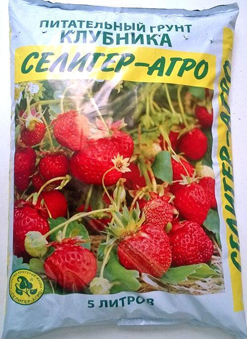 substrat nutritif pour fraises