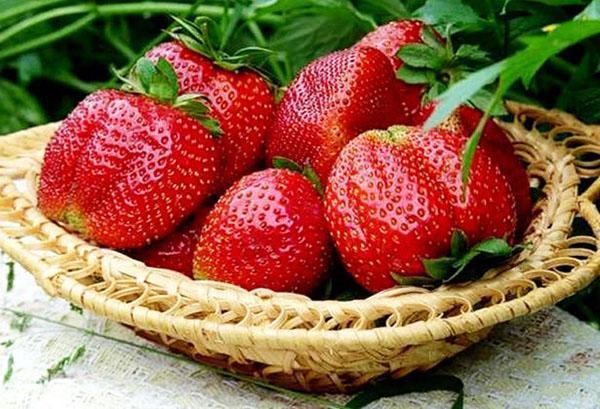 Guimauve de qualité fraise