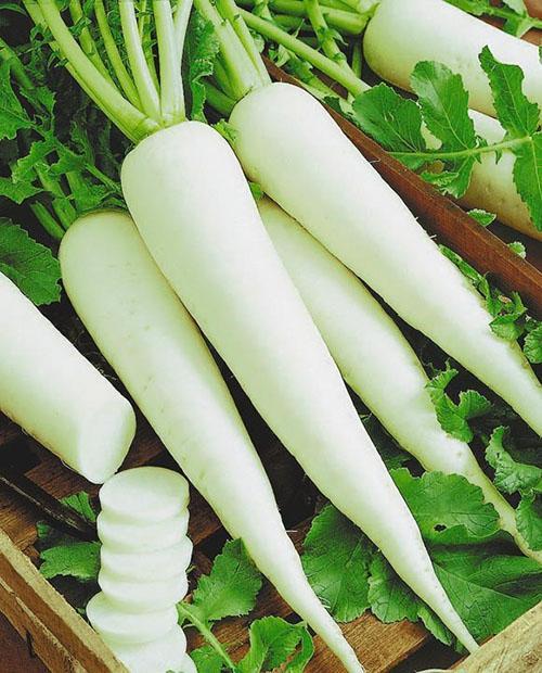 le radis daikon est bénéfique lorsqu'il est consommé avec modération