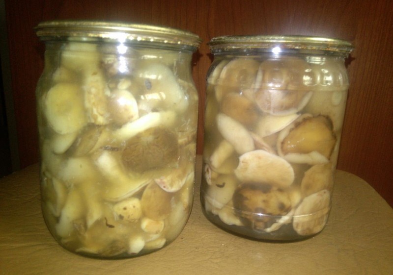 los hongos en escabeche se volvieron turbios