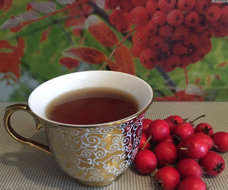 beneficios y daños de las bayas de espino cómo tomar el té