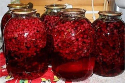 compota de grosellas rojas y negras