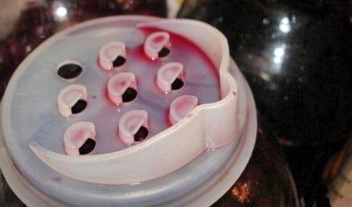 colar la infusión