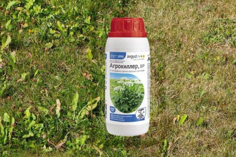 herbicida contra el agrokiller de la juncia