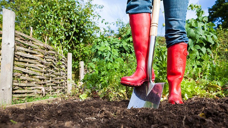 méthodes de lutte agrotechnique