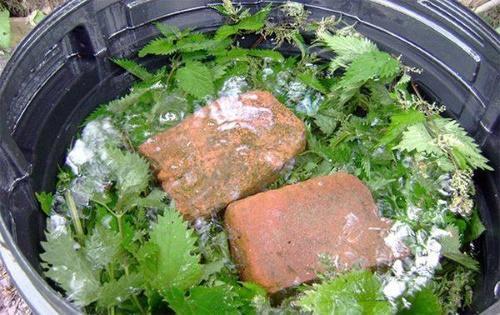 infusión de ortiga