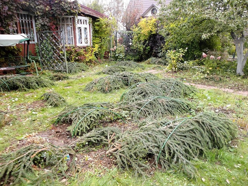 abri de parterres de fleurs pour l'hiver