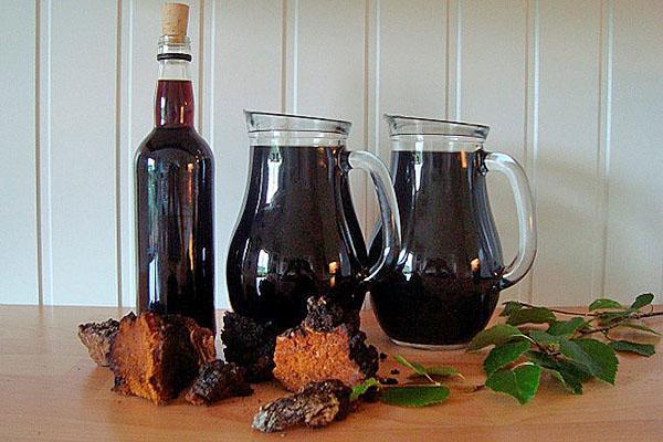 infusión medicinal de hongo chaga