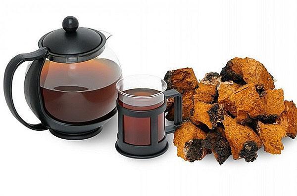 té de champiñones chaga