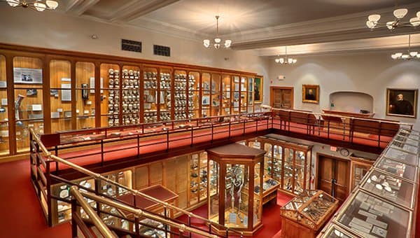 Nicht zuletzt können für die Wissenschaft gespendete Körper an ein Museum wie das Mütter Museum des College of Physicians of Philadelphia gespendet werden. Dieses Museum, das oft den extrem Seltenen und Ungewöhnlichen vorbehalten ist, fungiert als Quelle für medizinische Bildung und Geschichte, die Körpern ein völlig neues Leben ermöglicht und der Öffentlichkeit präsentiert wird.