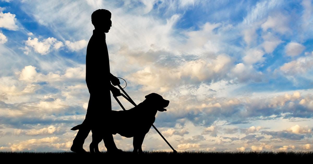 Popis fotografie: Chlapec s vodicím psem a holí proti modré obloze a mrakům