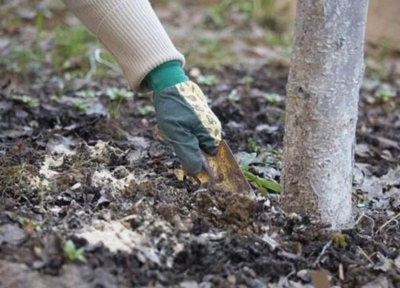 aplicación de fertilizantes secos