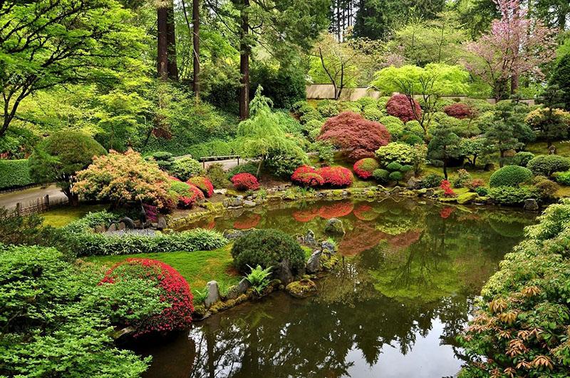 Parcela de estilo japonés en diseño de paisaje