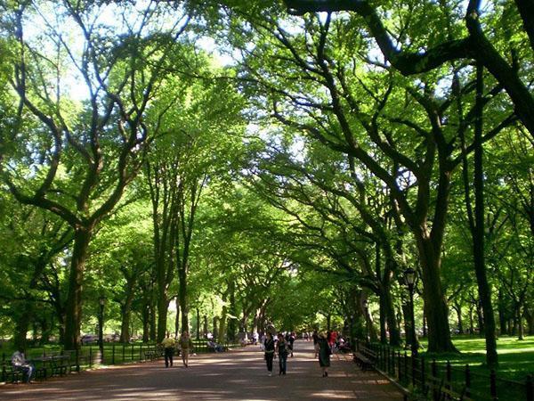 un parque