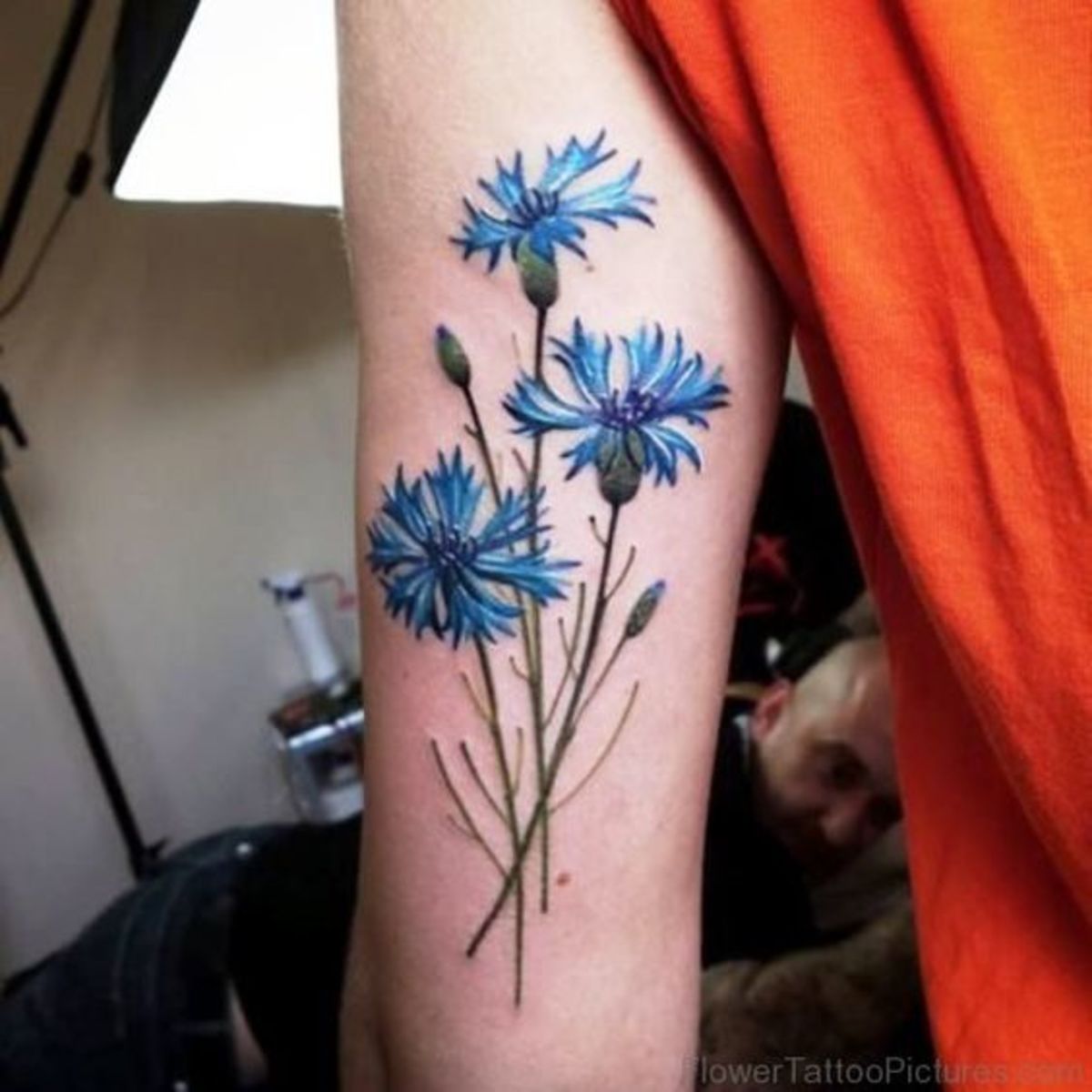 BachelorButtonTattoo