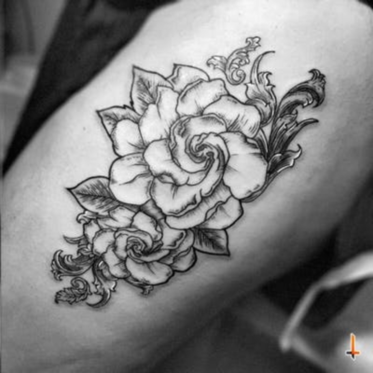 GardeniaTattoo