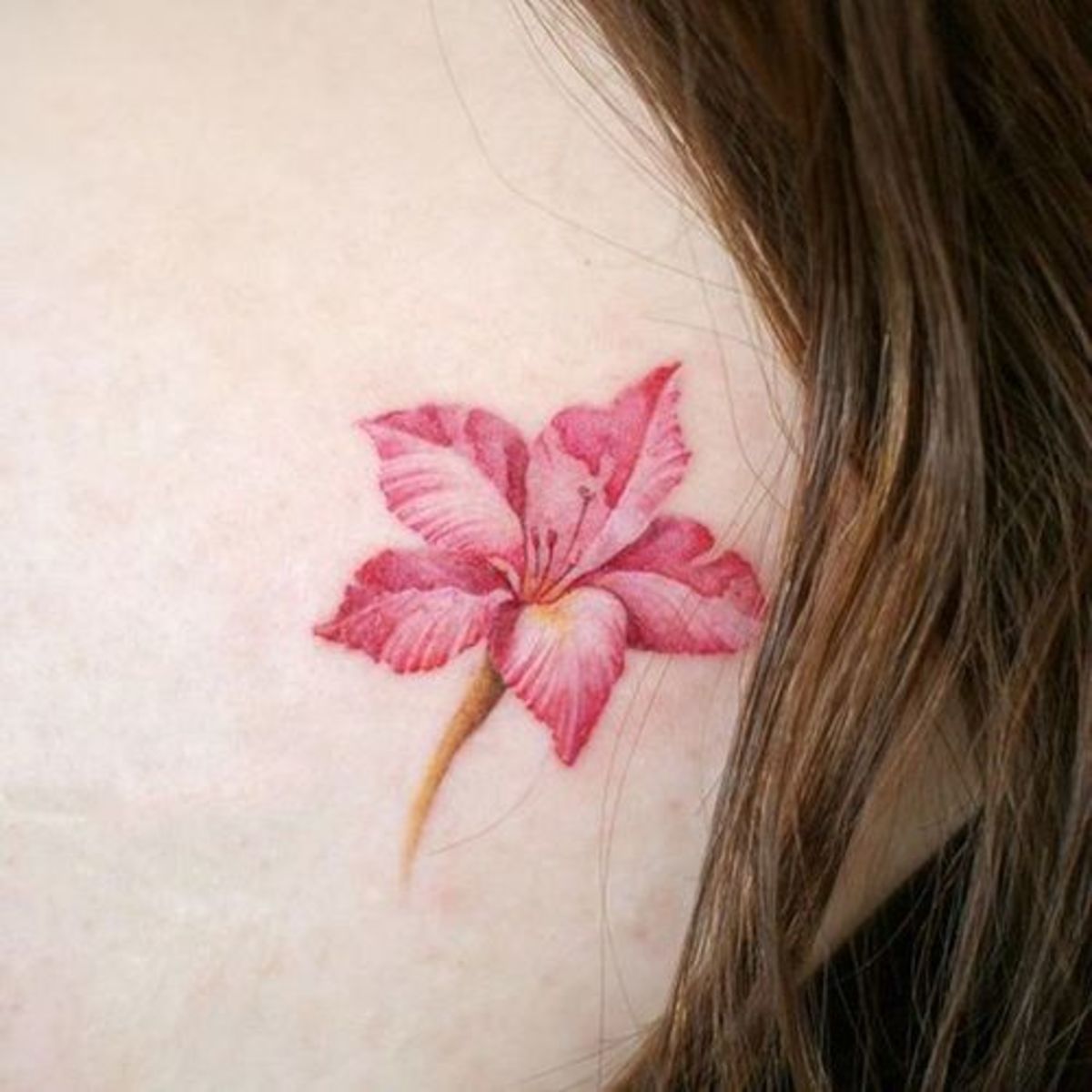 GladiolenTattoo