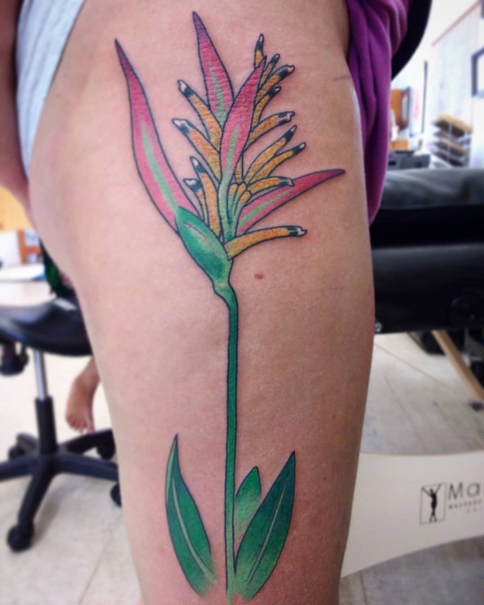 HeliconiaTattoo