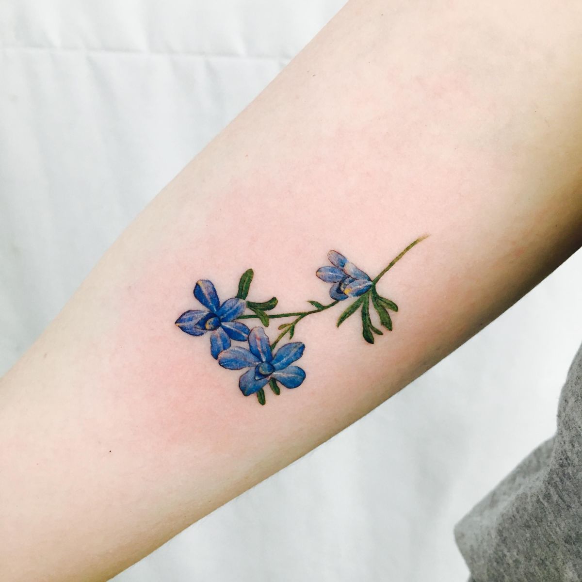 RitterspornTattoo