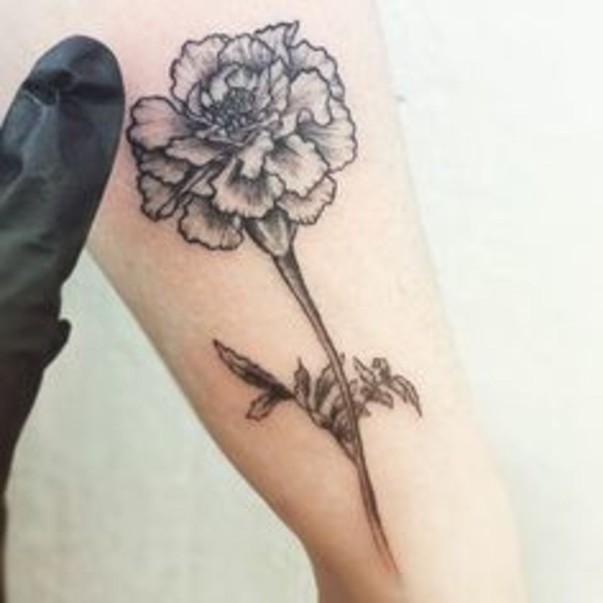 RingelblumeTattoo
