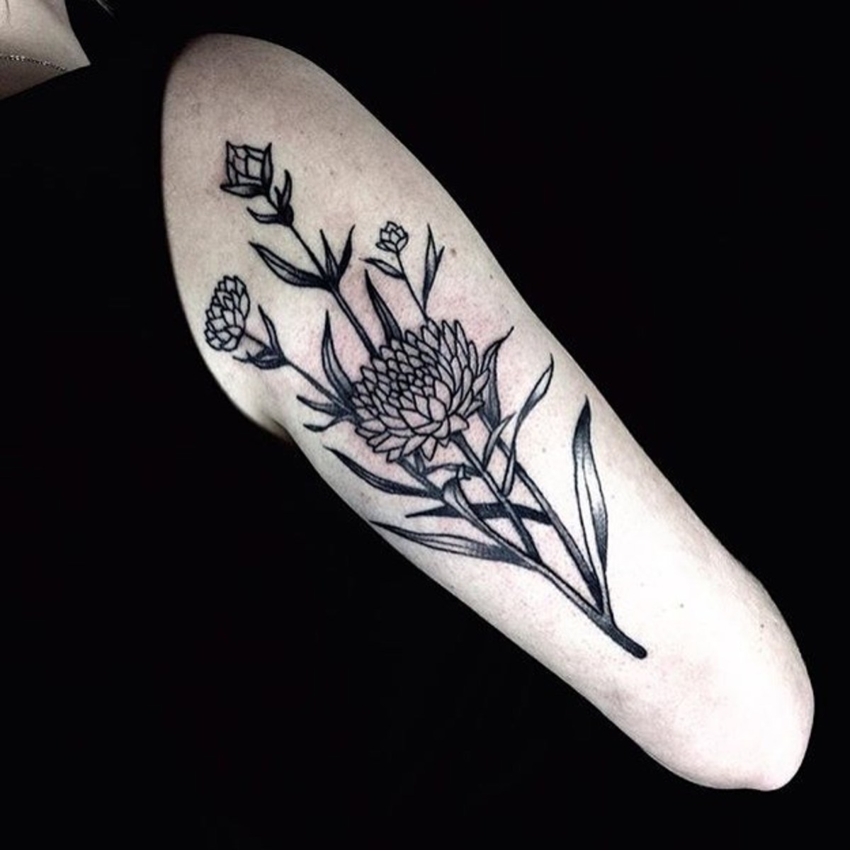 AsterTattoo