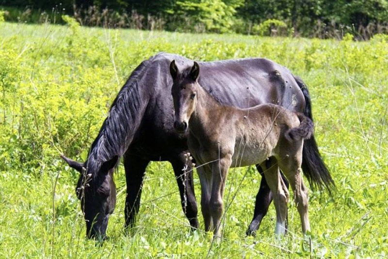 femme avec bébé