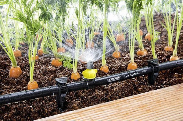 riego automático del jardín