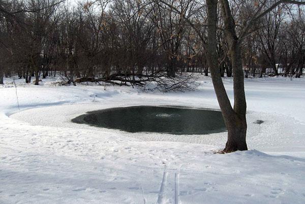 aérateur en hiver