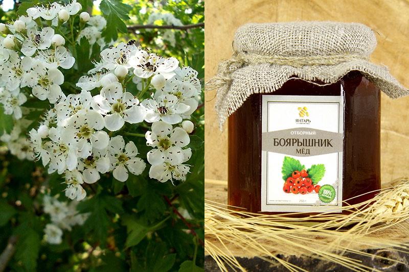 miel de fleur d'aubépine