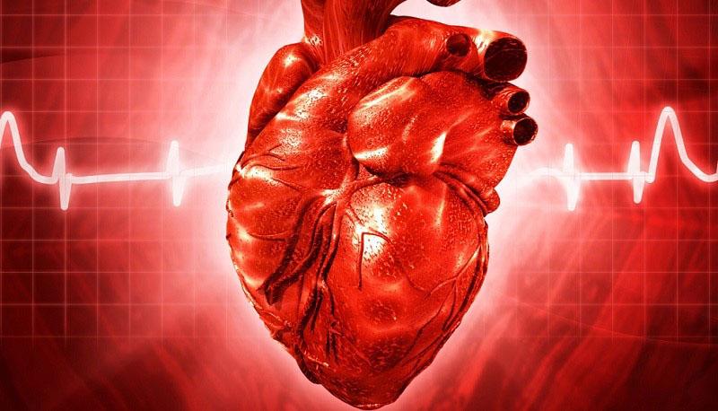 miel d'aubépine pour le soutien cardiaque