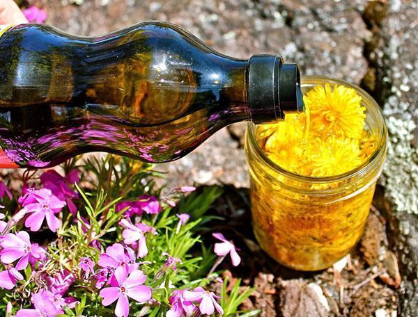 aceite de diente de leon