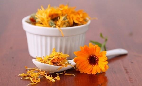 récolte de calendula