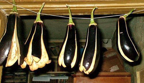 Faire sécher des aubergines dans un appartement en ville