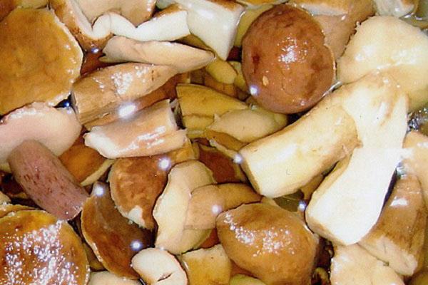 salazón de setas porcini
