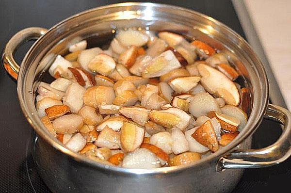 hervir hongos porcini