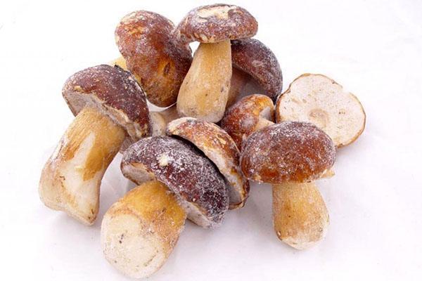 hongos porcini congelados